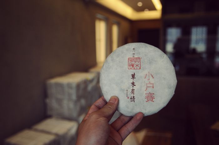 2015年 小户赛