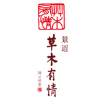 2016年 景迈（芒梗）