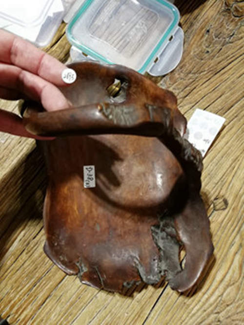 日本 昭和时期 树瘤 果子器/花器 品相如图。