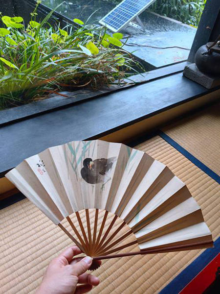 老扇子