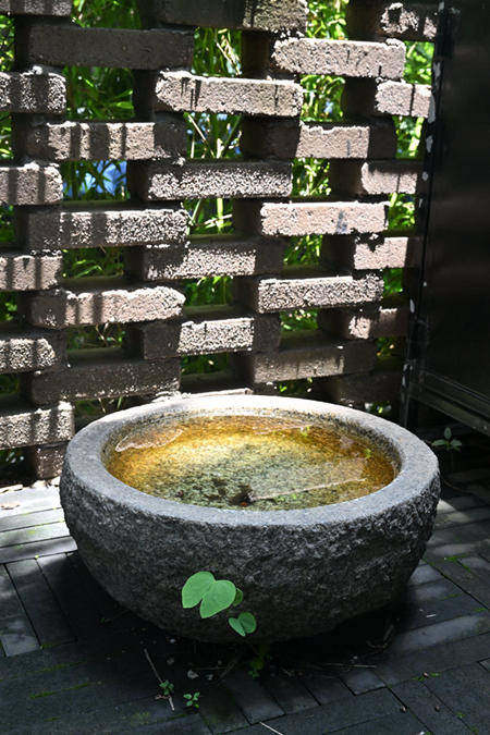 日本原装  庭院 石钵/水盆 可用于枯山水景观庭院造景。国内现货
属于超大物品 所有地区木架运输 不包邮 运费到付